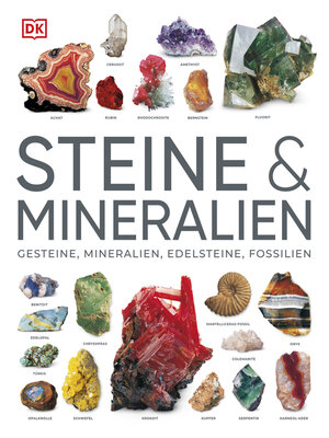 cover image of Steine & Mineralien
